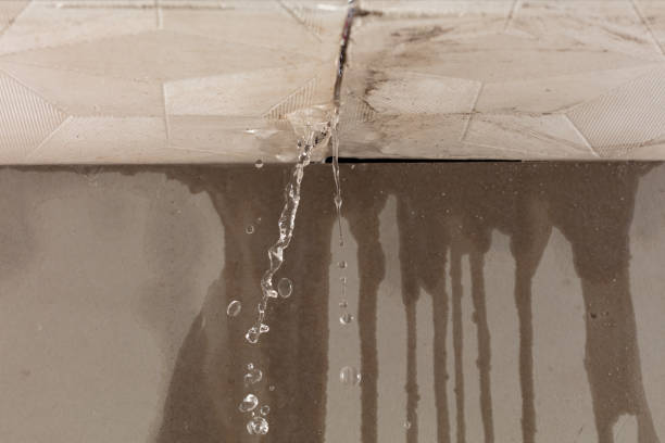 Professional Structural Drying technician working in Manassas, VA